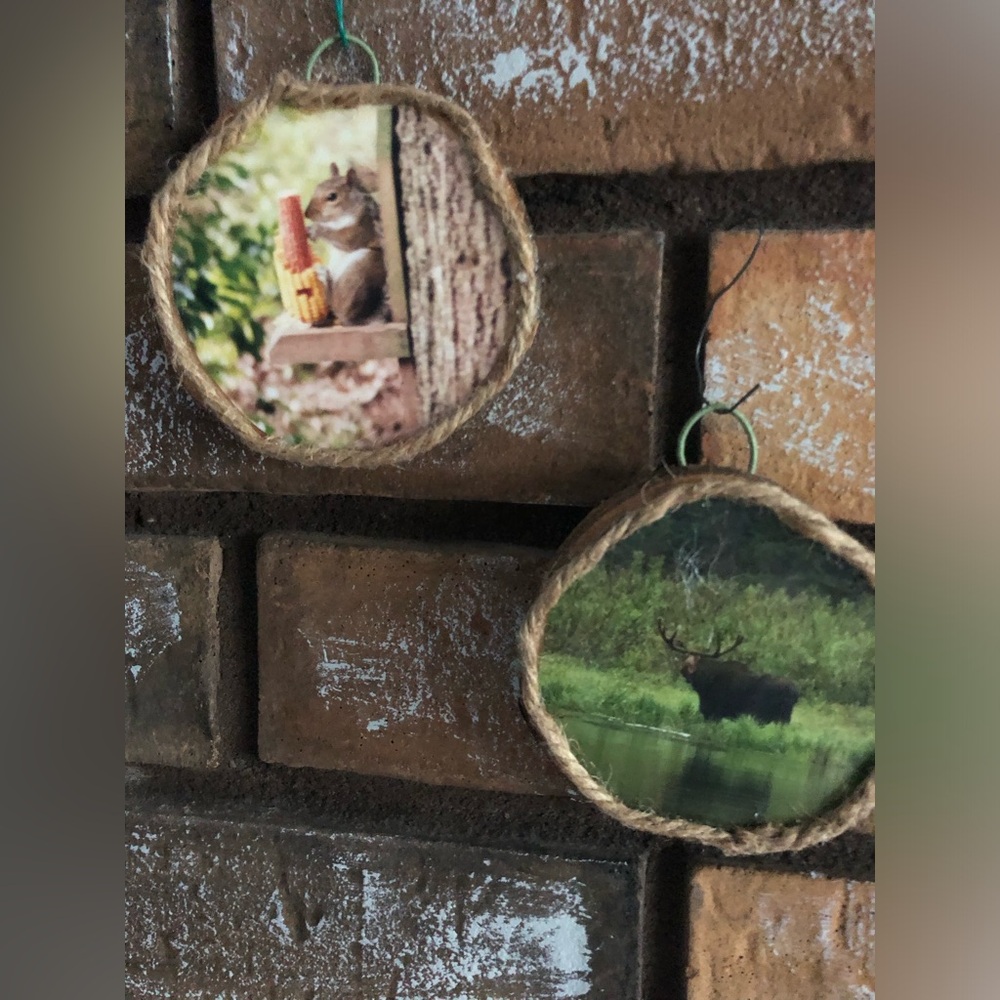 Handcrafted Wood Slice Photo Art “Animals”